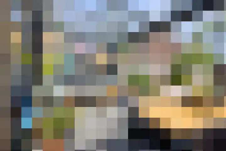 Roerdomp 19 Etten-Leur thumbnail 31