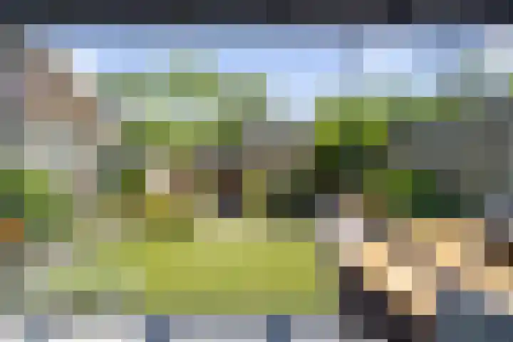 Roerdomp 19 Etten-Leur thumbnail 34