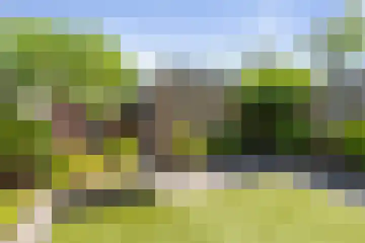 Roerdomp 19 Etten-Leur thumbnail 36