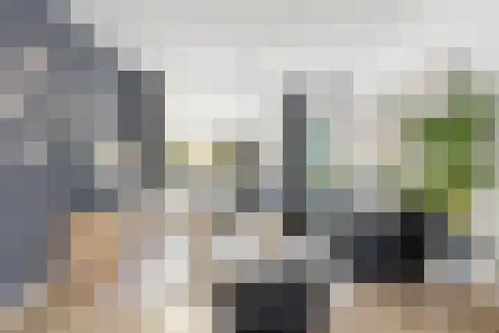 Roerdomp 19 Etten-Leur thumbnail 4