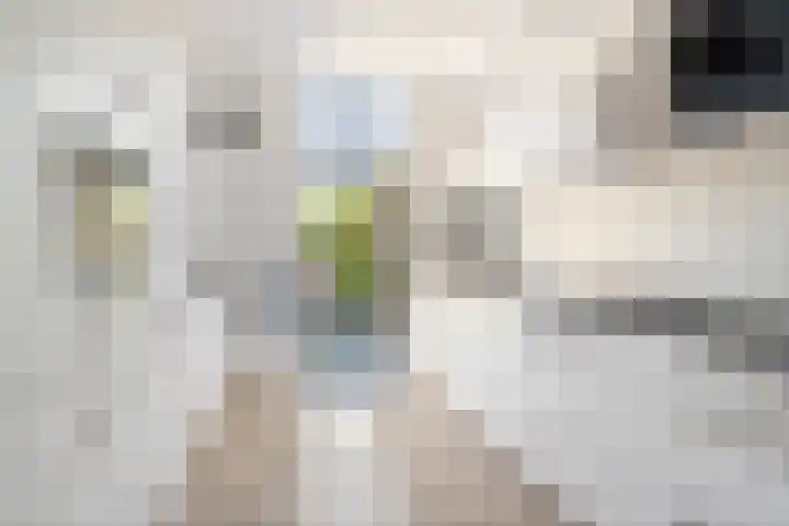Roerdomp 19 Etten-Leur thumbnail 8
