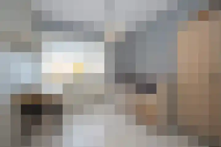 Roerdomp 2 Terneuzen thumbnail 11