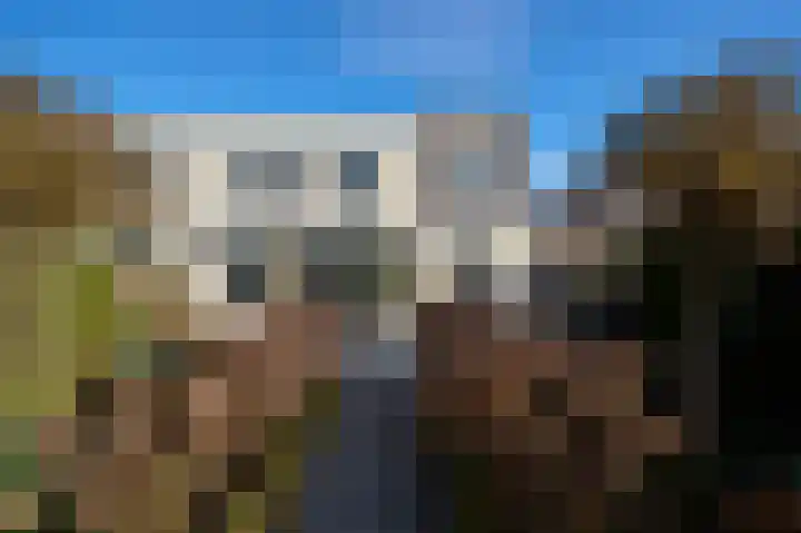 Roerdomp 2 Terneuzen thumbnail 13