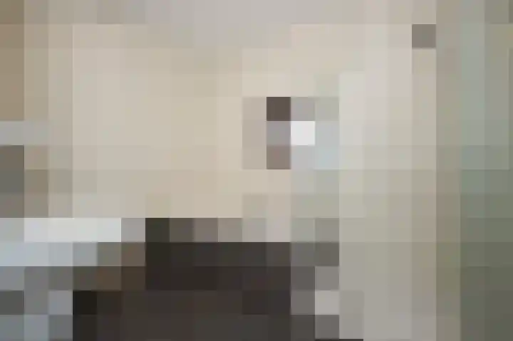 Roerdomp 2 Terneuzen thumbnail 14