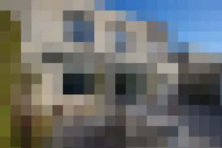 Roerdomp 2 Terneuzen thumbnail 15