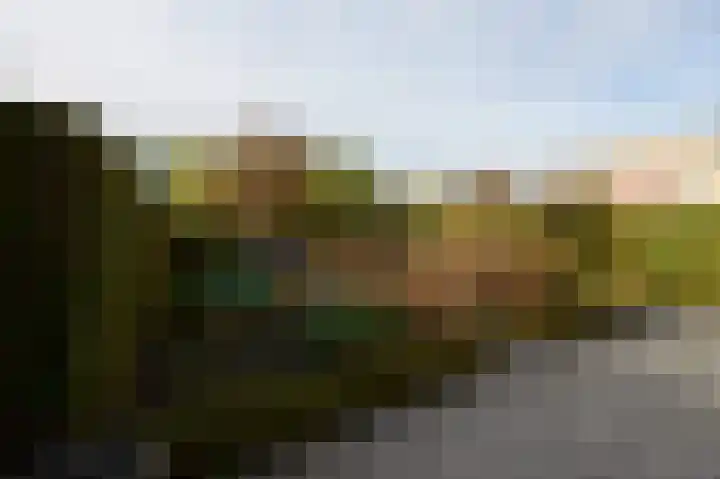 Roerdomp 2 Terneuzen thumbnail 16