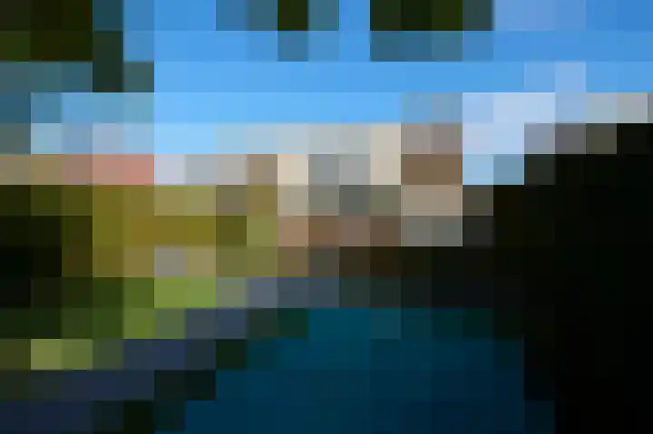 Roerdomp 2 Terneuzen thumbnail 17