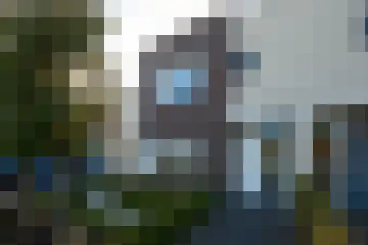 Roerdomp 2 Terneuzen thumbnail 18