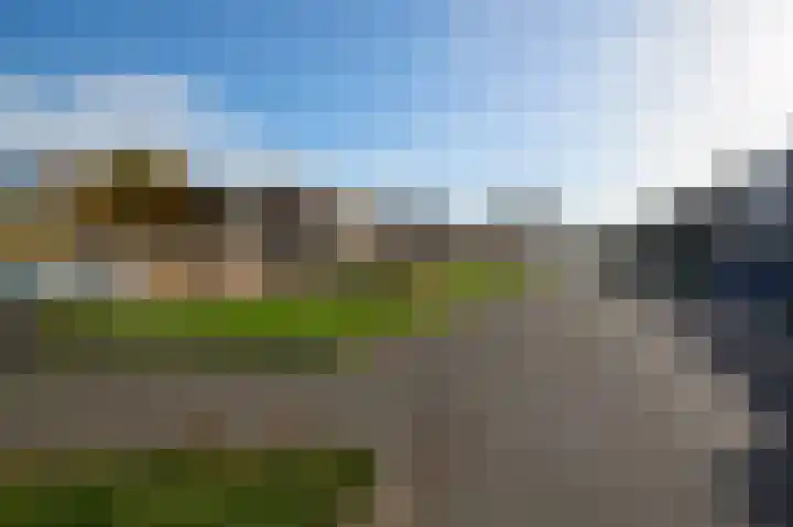 Roerdomp 2 Terneuzen thumbnail 19