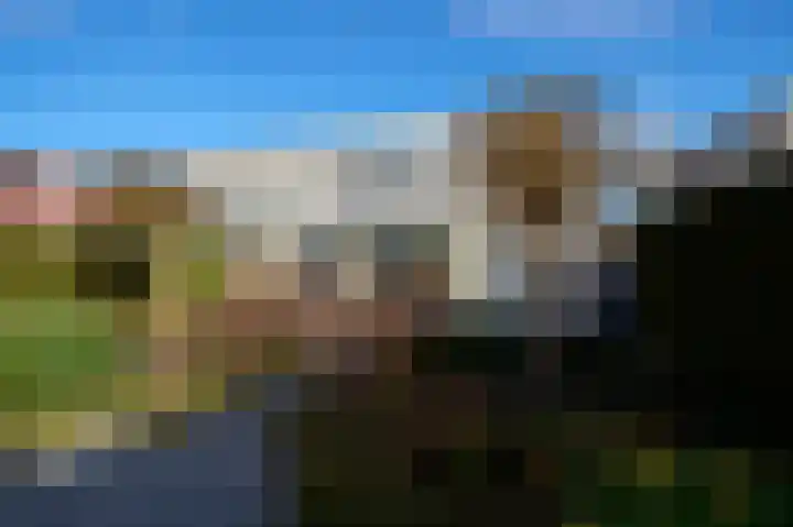 Roerdomp 2 Terneuzen thumbnail 4