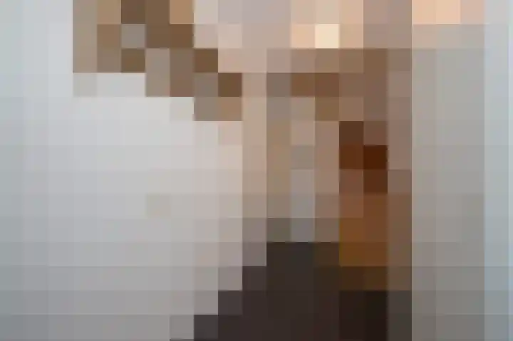 Roerdomp 2 Terneuzen thumbnail 5