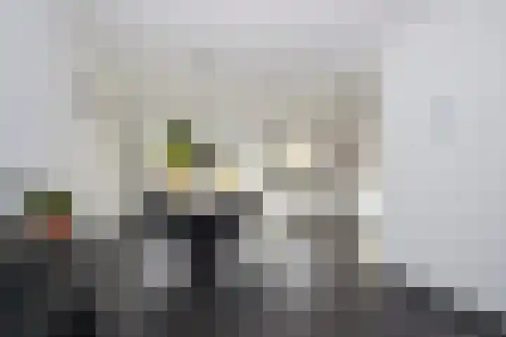 Roerdomp 2 Terneuzen thumbnail 6
