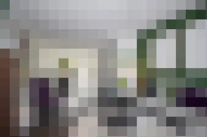 Roerdomp 2 Terneuzen thumbnail 7