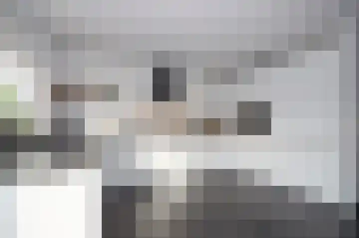 Roerdomp 2 Terneuzen thumbnail 9