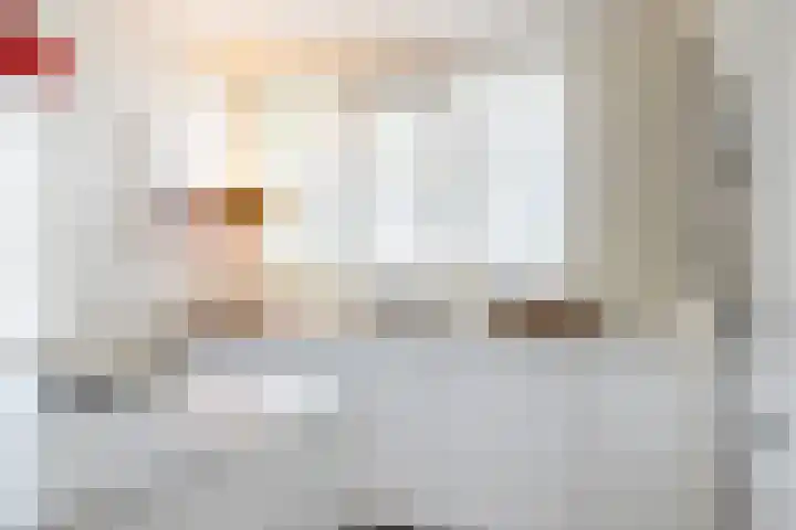 Roerdomp 24 Breda thumbnail 10
