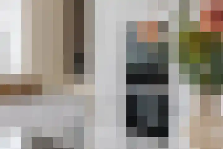 Roerdomp 24 Breda thumbnail 11