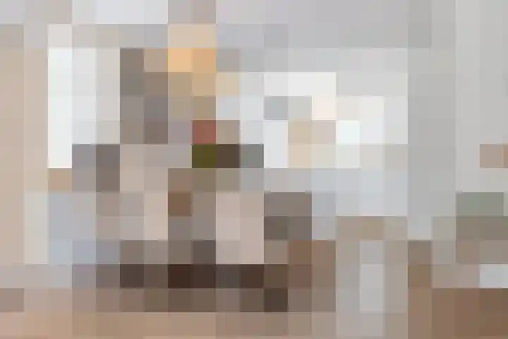 Roerdomp 24 Breda thumbnail 14