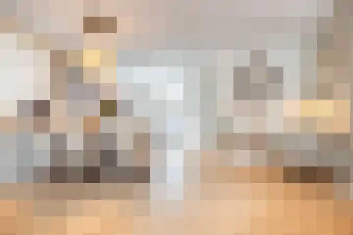 Roerdomp 24 Breda thumbnail 15