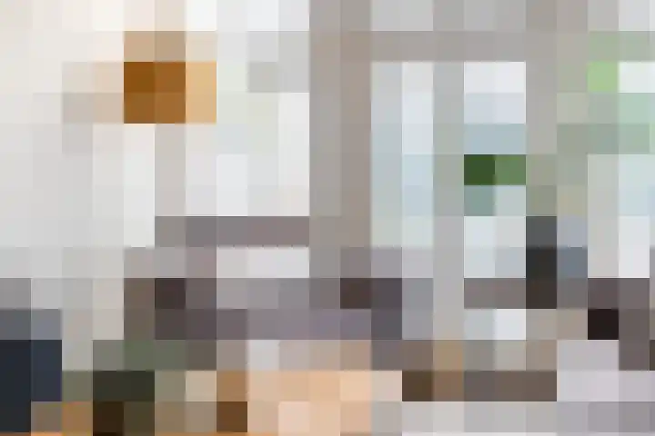 Roerdomp 24 Breda thumbnail 16