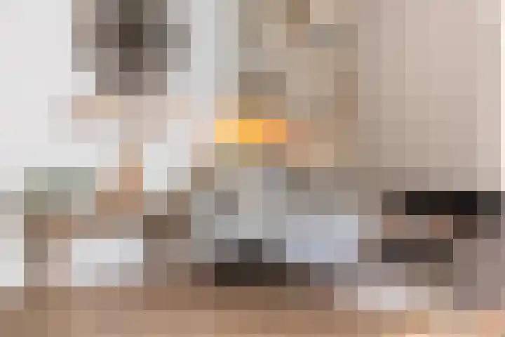 Roerdomp 24 Breda thumbnail 17