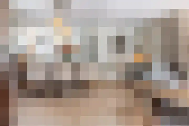 Roerdomp 24 Breda thumbnail 18