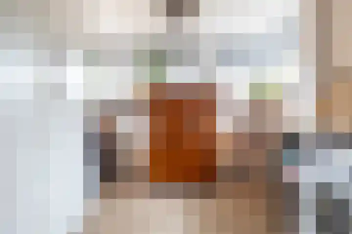 Roerdomp 24 Breda thumbnail 19