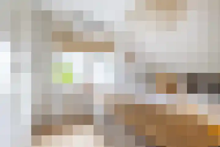 Roerdomp 24 Breda thumbnail 20