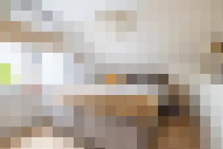 Roerdomp 24 Breda thumbnail 21