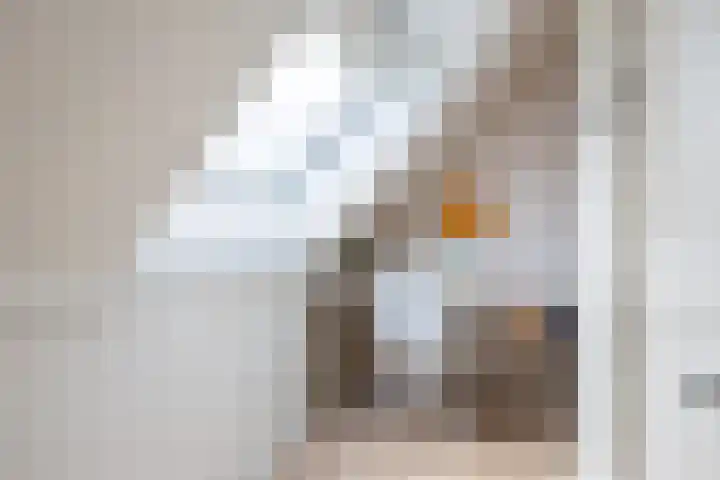 Roerdomp 24 Breda thumbnail 22