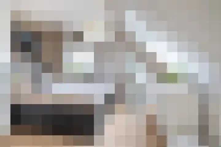 Roerdomp 24 Breda thumbnail 23