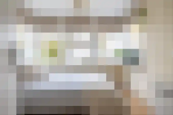 Roerdomp 24 Breda thumbnail 25