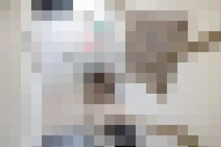Roerdomp 24 Breda thumbnail 28