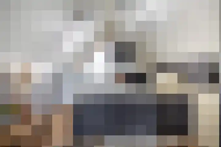 Roerdomp 24 Breda thumbnail 29