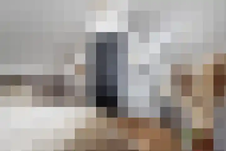 Roerdomp 24 Breda thumbnail 30