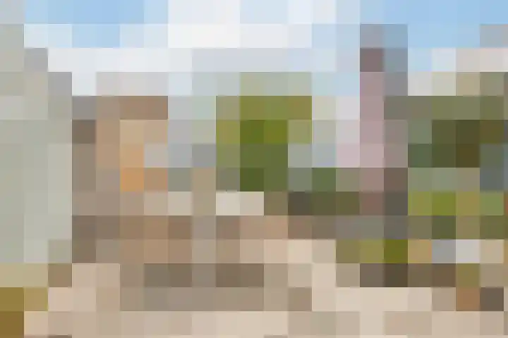 Roerdomp 24 Breda thumbnail 31