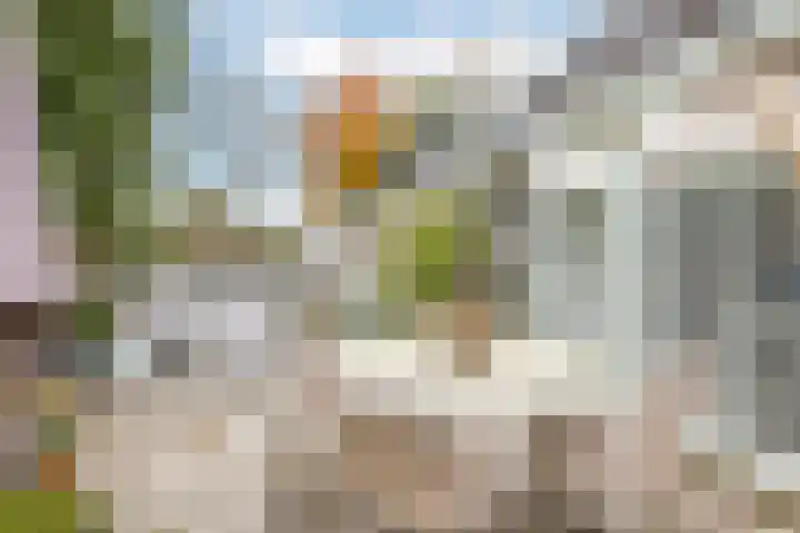 Roerdomp 24 Breda thumbnail 32