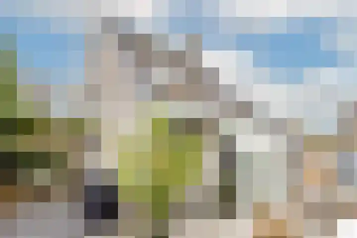 Roerdomp 24 Breda thumbnail 33
