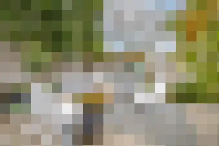Roerdomp 24 Breda thumbnail 34