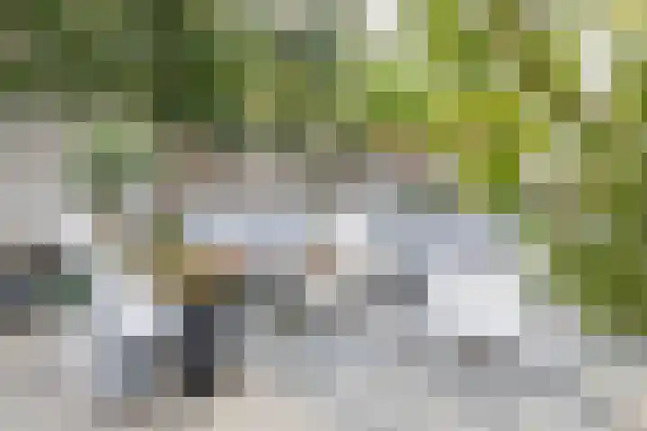 Roerdomp 24 Breda thumbnail 36