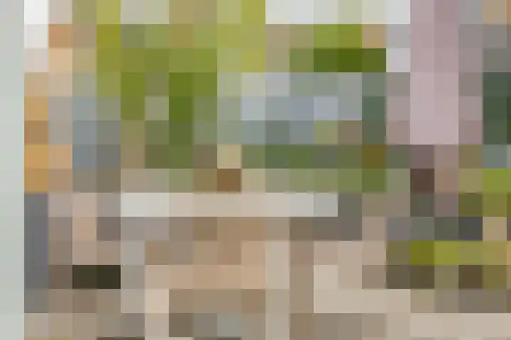 Roerdomp 24 Breda thumbnail 37