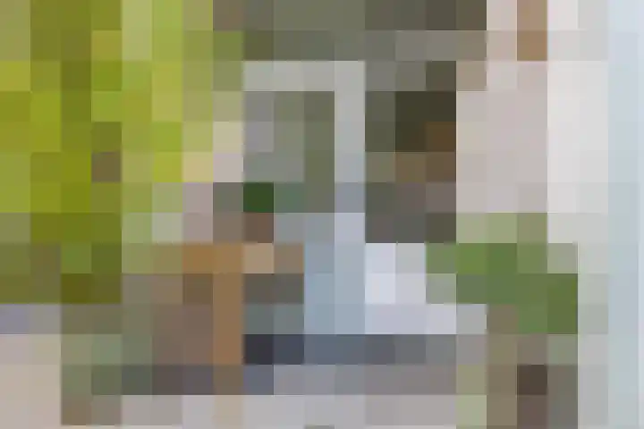 Roerdomp 24 Breda thumbnail 38