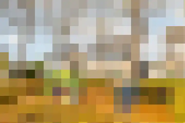 Roerdomp 24 Breda thumbnail 39
