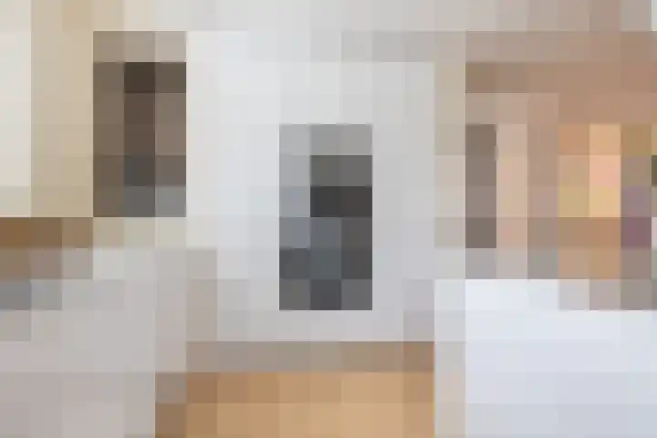 Roerdomp 24 Breda thumbnail 4
