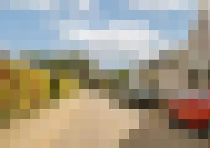 Roerdomp 24 Breda thumbnail 40