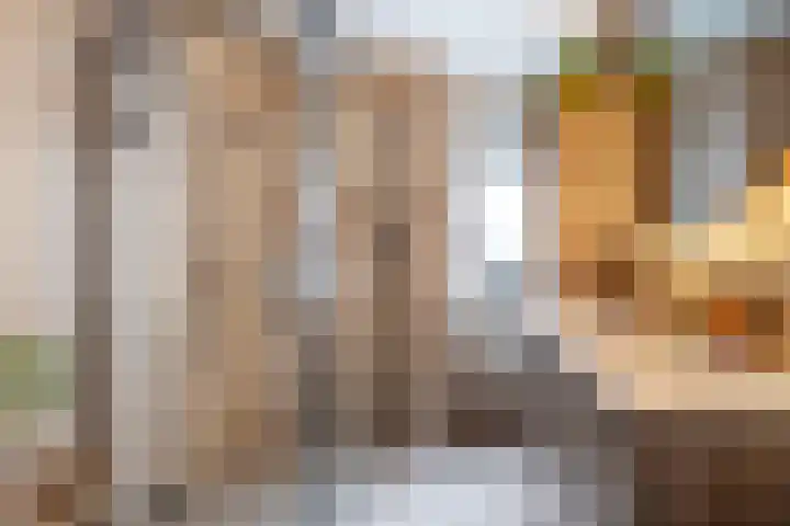 Roerdomp 24 Breda thumbnail 5