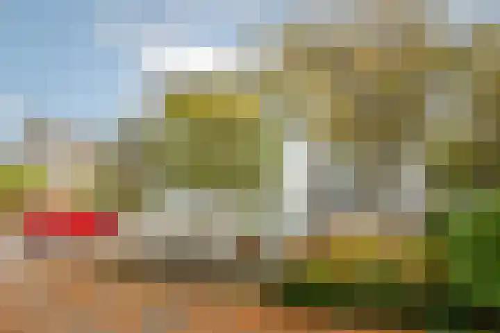 Roerdomp 24 Breda thumbnail 6