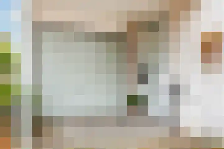 Roerdomp 24 Breda thumbnail 7