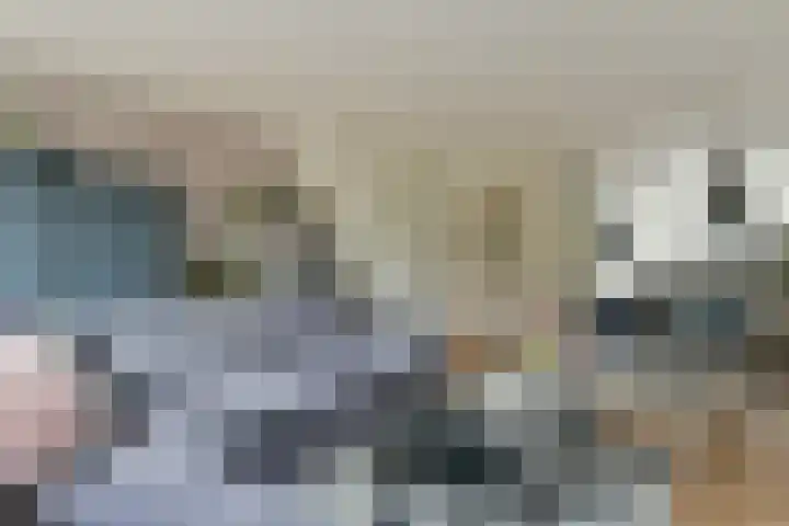 Roerdomp 27 Kockengen thumbnail 10
