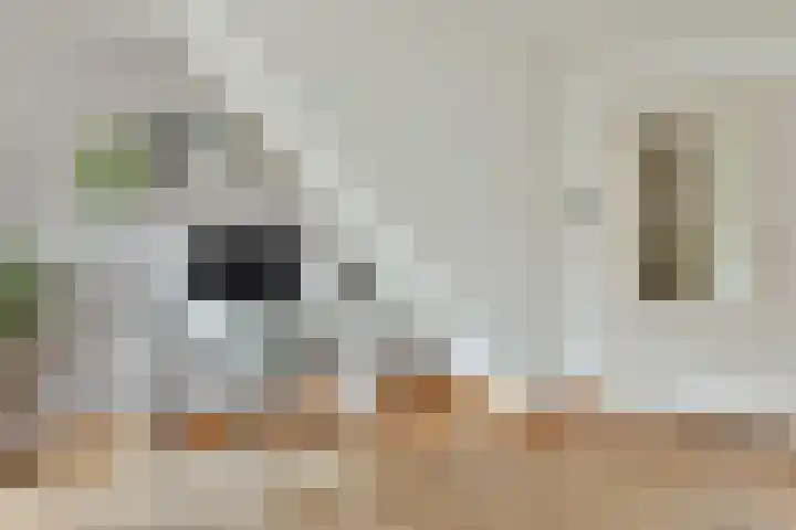 Roerdomp 27 Kockengen thumbnail 11