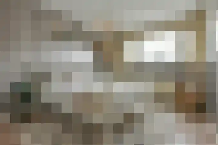Roerdomp 27 Kockengen thumbnail 17